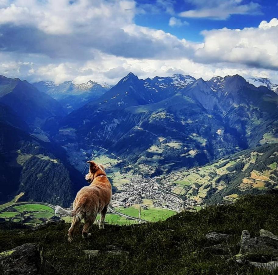 Haus Wibmer Matrei in Osttirol Esterno foto