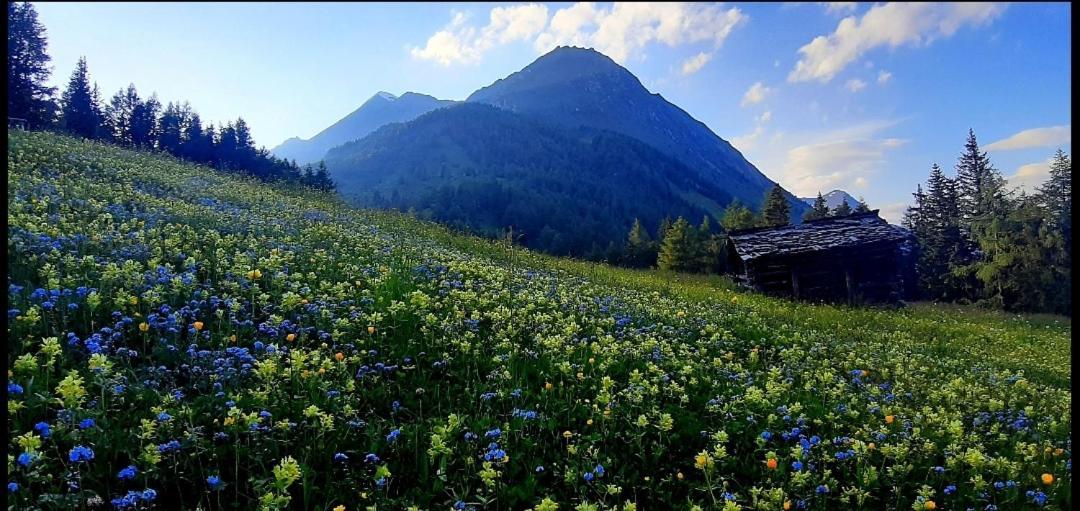 Haus Wibmer Matrei in Osttirol Esterno foto