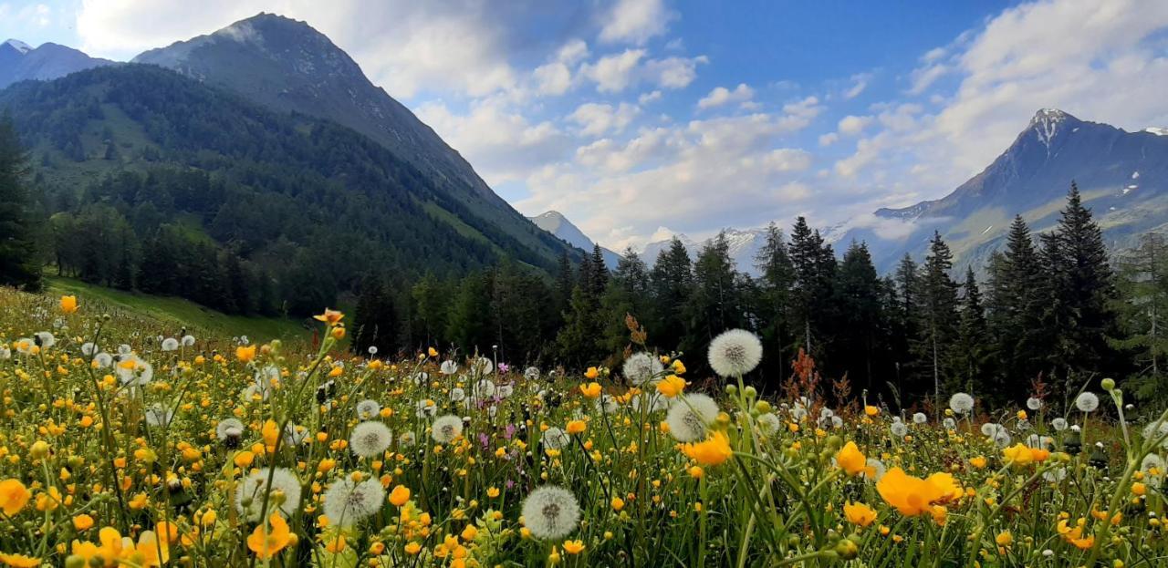 Haus Wibmer Matrei in Osttirol Esterno foto